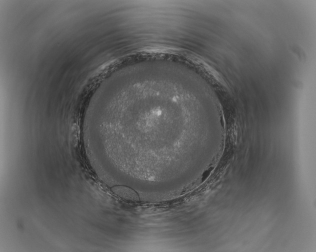 X0000111020821200906261538