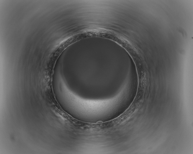 X0000111020822200906261538