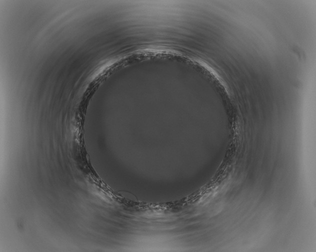 X0000111020823200906261538