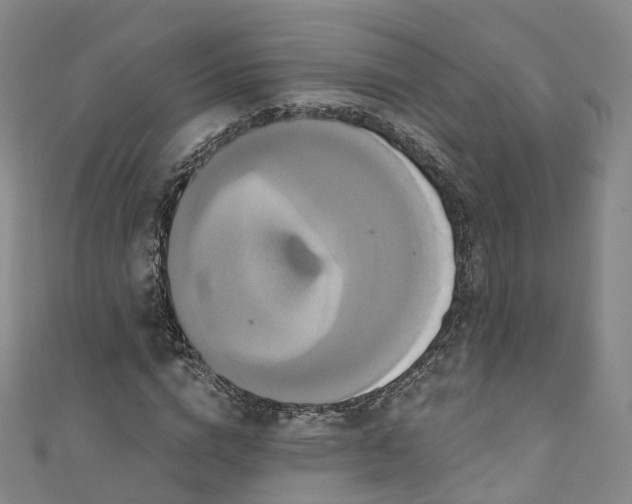 X0000111020824200906261538