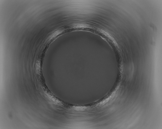 X0000111020825200906261538