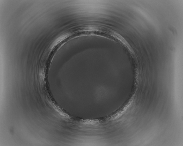 X0000111020826200906261538