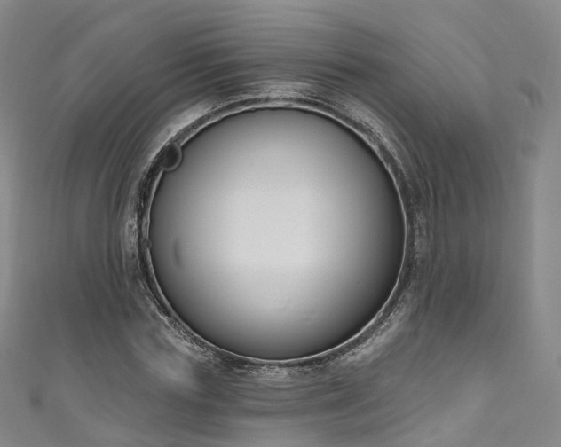 X0000111020827200906261538