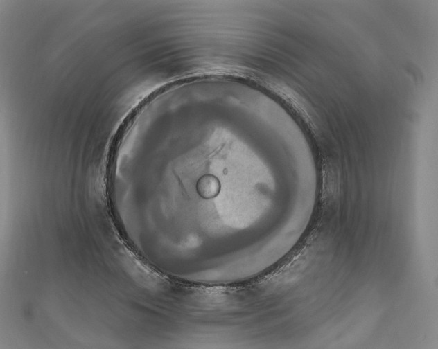 X0000111020828200906261538
