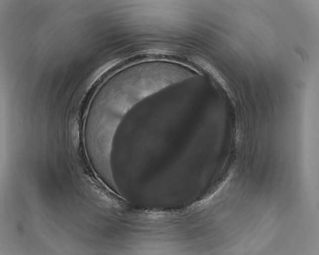 X0000111020829200906261538