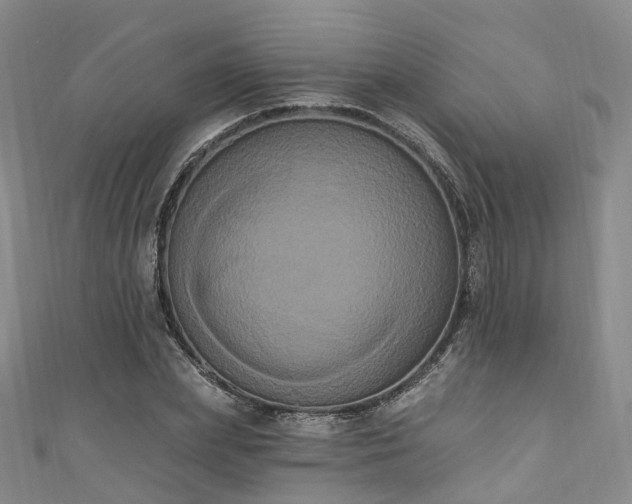 X0000111020831200906261539