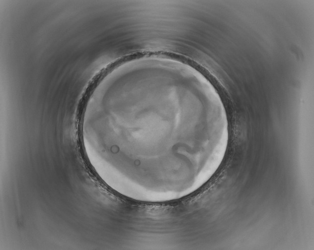 X0000111020832200906261539