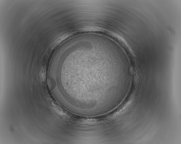X0000111020833200906261539