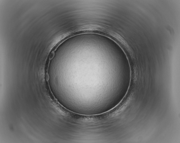 X0000111020834200906261539