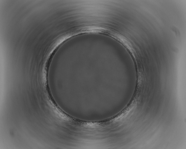 X0000111020835200906261539