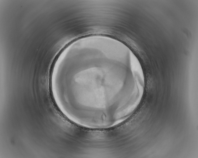X0000111020836200906261539