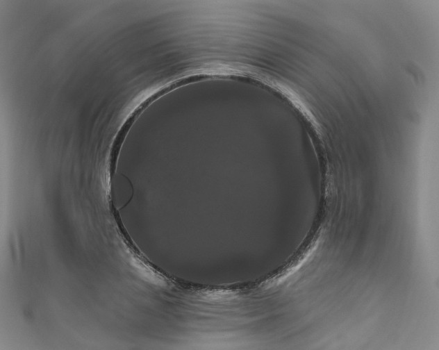 X0000111020837200906261539