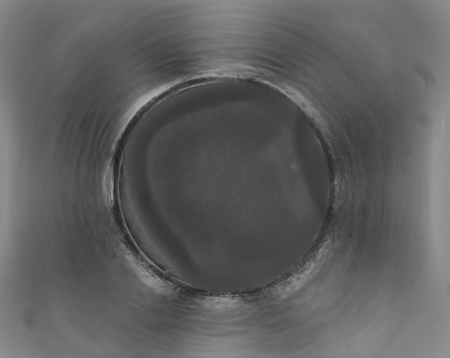 X0000111020838200906261539
