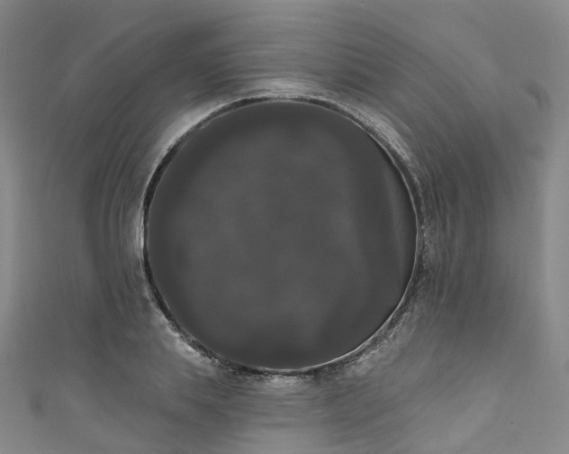 X0000111020839200906261539