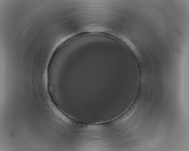 X0000111020840200906261539