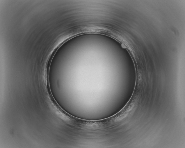 X0000111020843200906261539