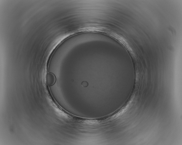 X0000111020844200906261539