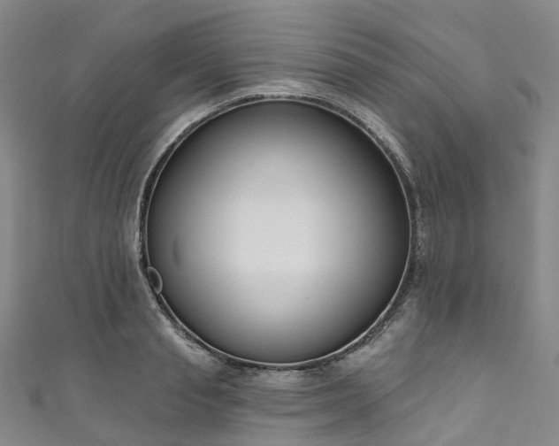 X0000111020845200906261539