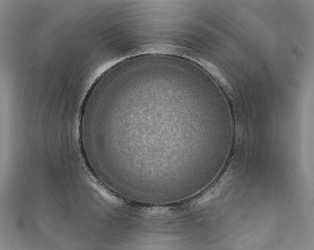 X0000111020846200906261539