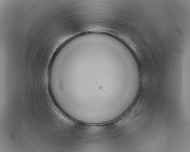 X0000111020848200906261539