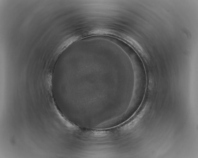 X0000111020849200906261539