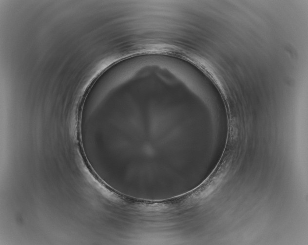 X0000111020851200906261539