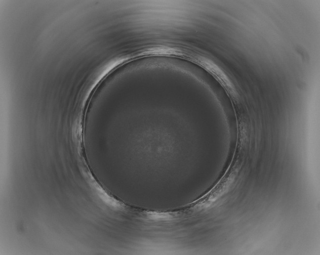 X0000111020852200906261539