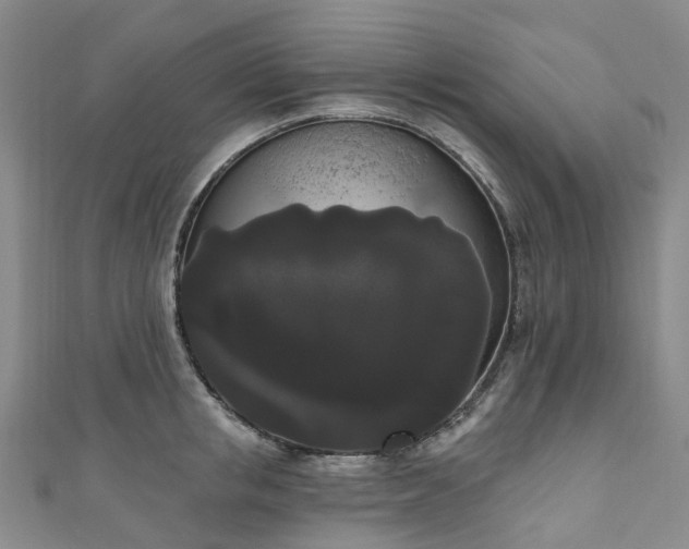 X0000111020853200906261539