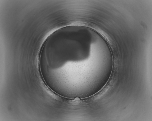 X0000111020854200906261539