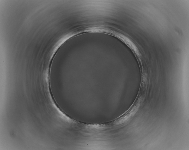 X0000111020855200906261539