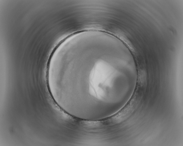 X0000111020856200906261539