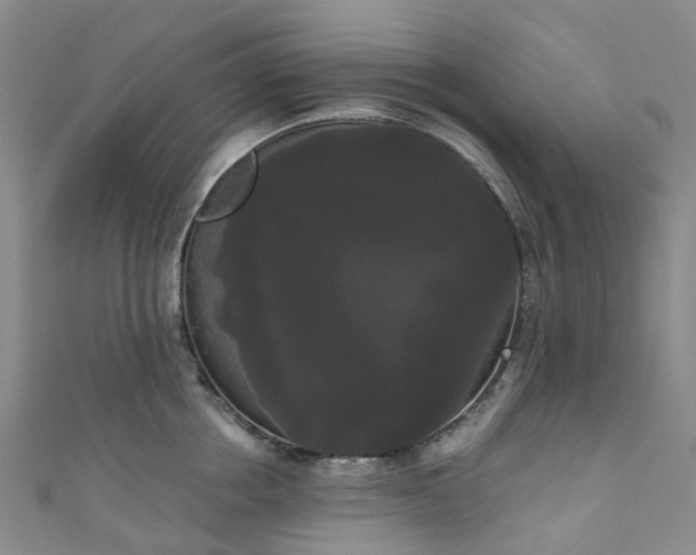 X0000111020858200906261539