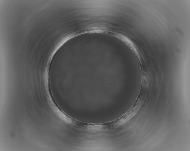 X0000111020859200906261539