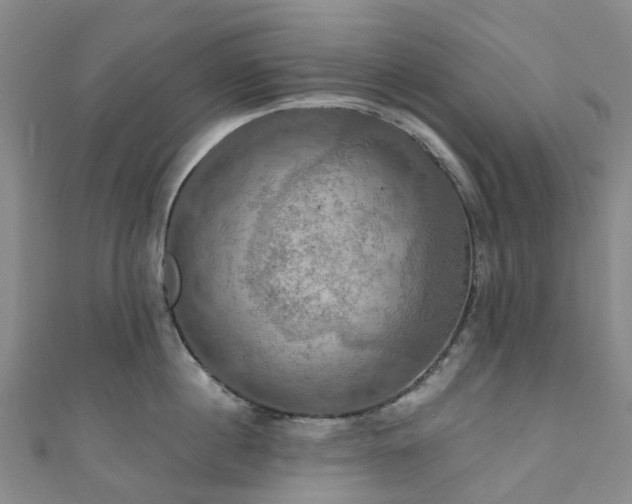 X0000111020860200906261539