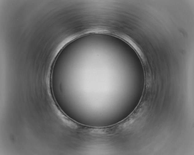 X0000111020861200906261539