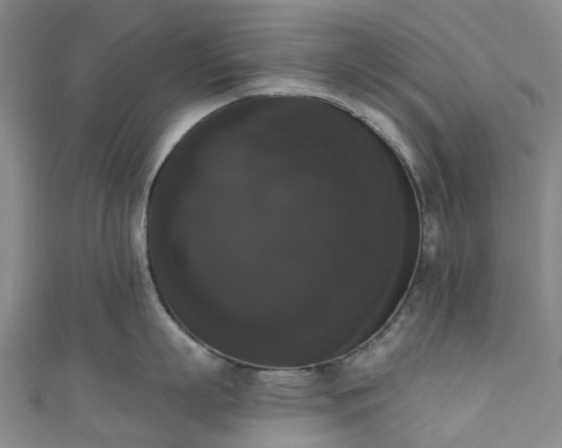 X0000111020863200906261539