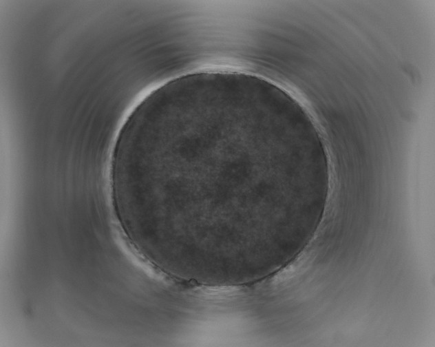 X0000111020864200906261539