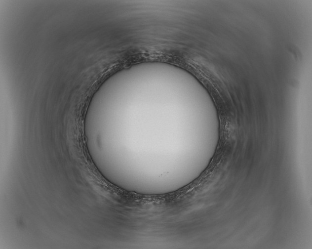 X0000111020865200906261538