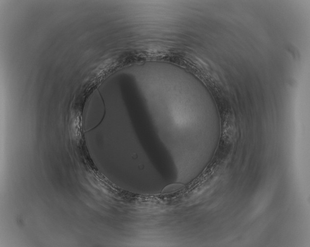 X0000111020866200906261538