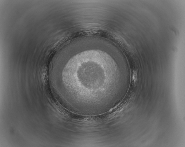 X0000111020867200906261538