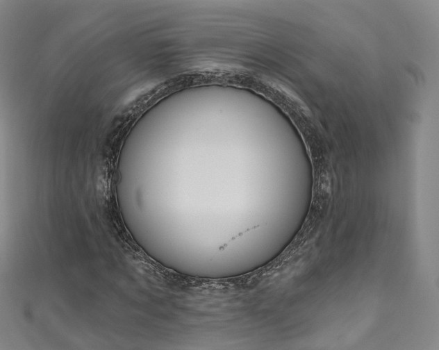 X0000111020869200906261538
