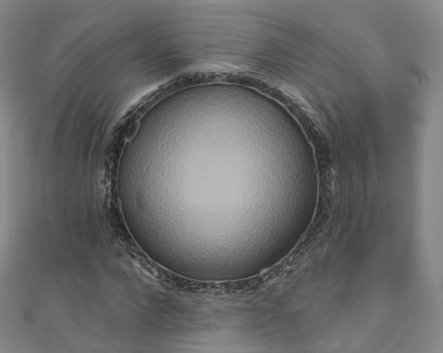 X0000111020872200906261538