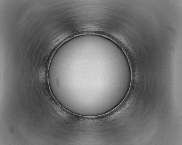 X0000111020873200906261538
