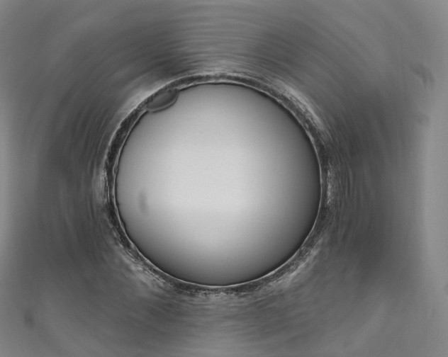 X0000111020876200906261538