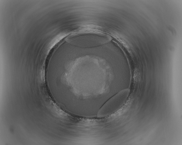 X0000111020877200906261538