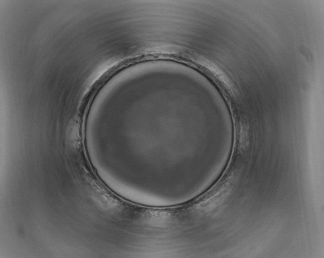 X0000111020878200906261538