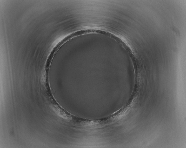 X0000111020879200906261538
