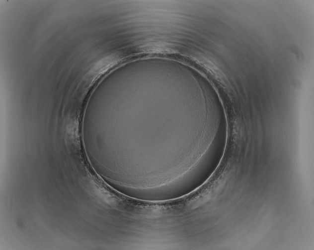 X0000111020881200906261538