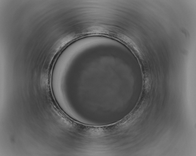 X0000111020882200906261538