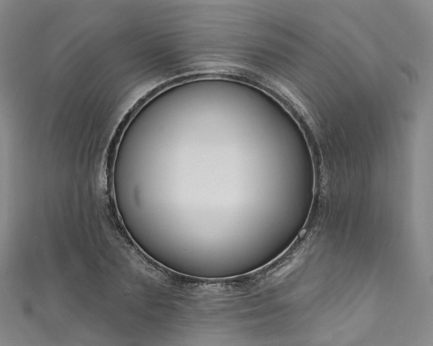 X0000111020883200906261538